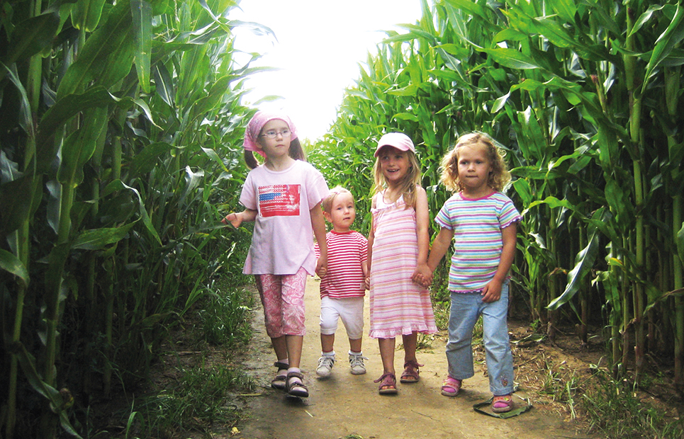 Vier Kinder in einem Gang eines Maislabyrinthes