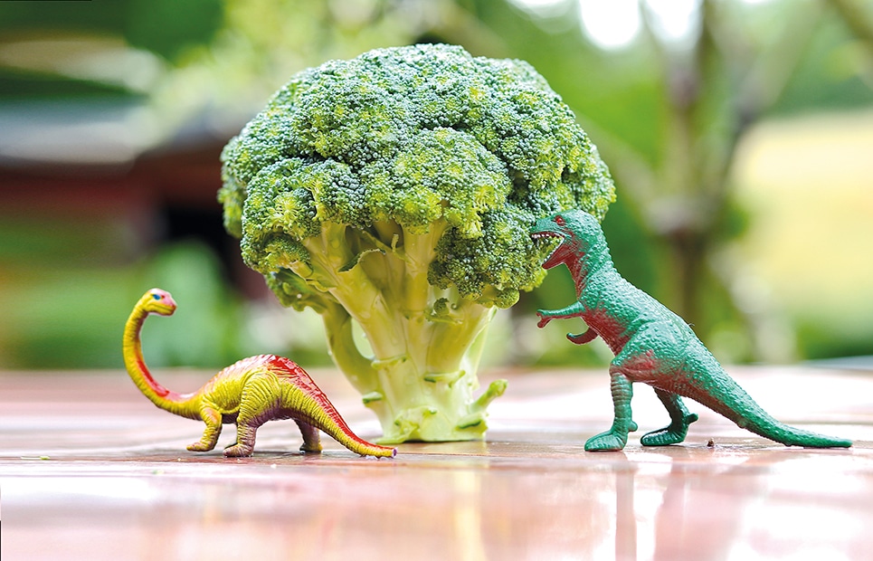 Zwei Spielzeugdinosaurier vor einem Brokkoli